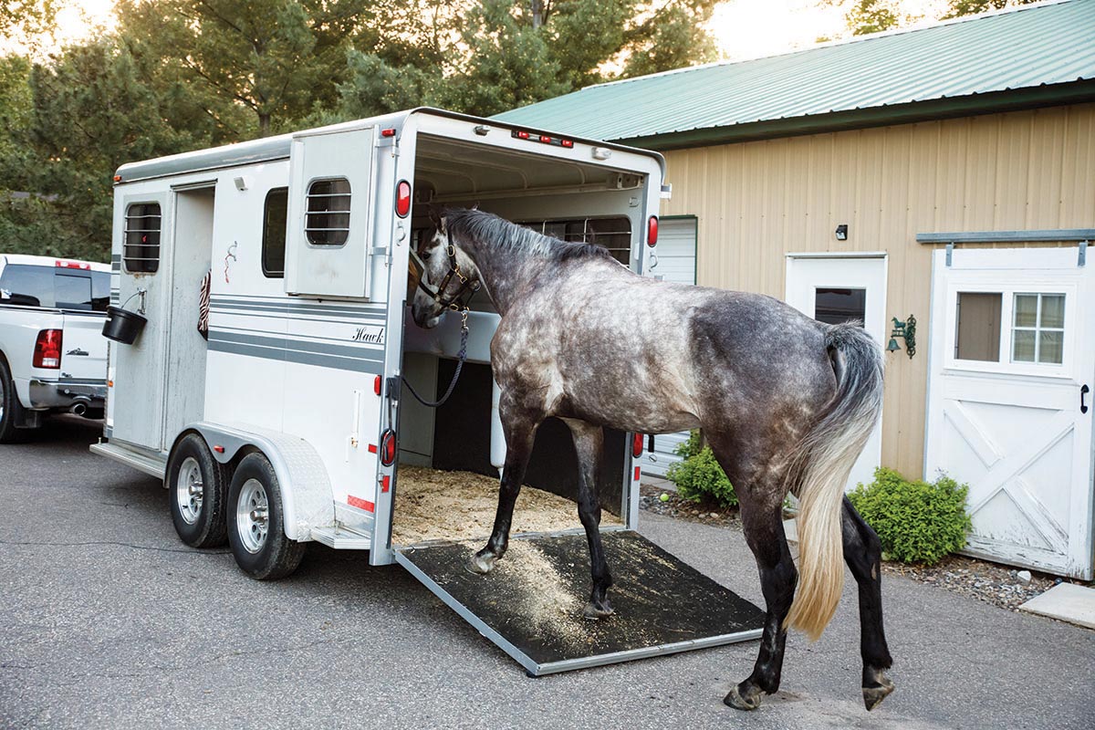 Deciding on a Horse Trailer to Match Your Needs