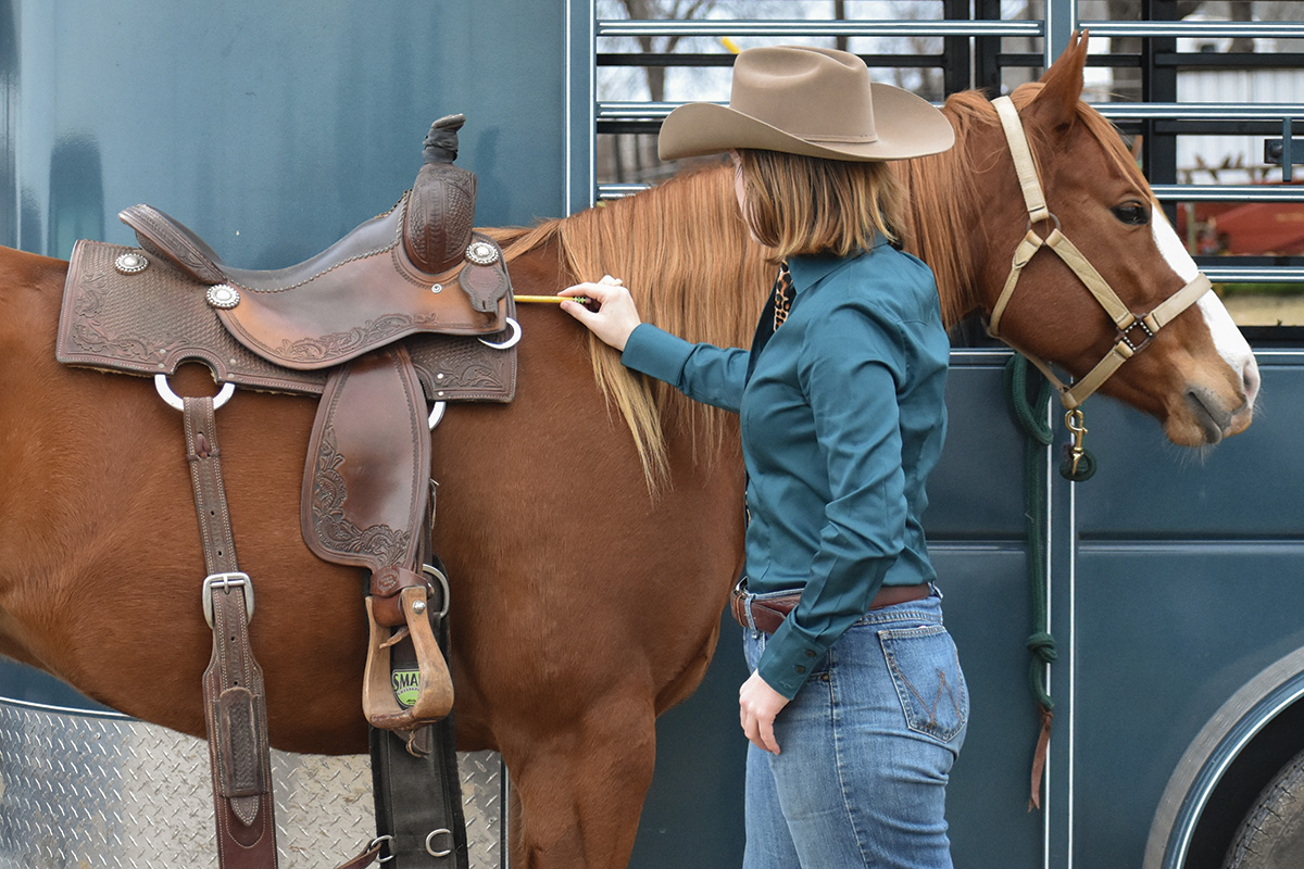 Everything You Need to Know About Saddle Fitting