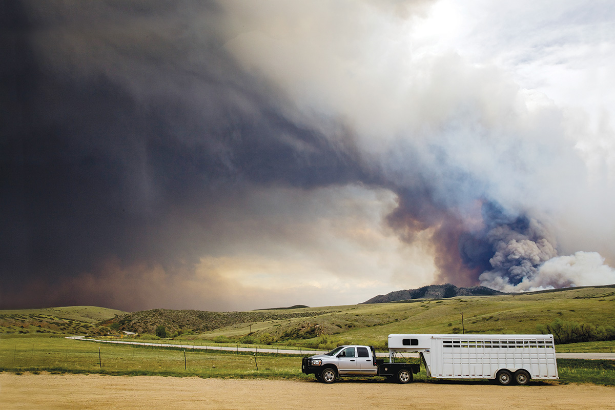 Emergency and Pure Disaster Preparedness with Horses