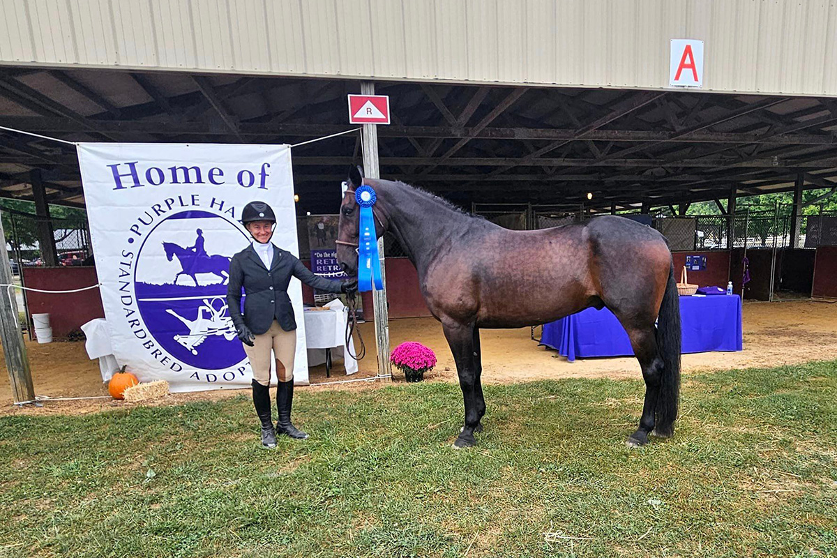 ASPCA Correct Horse Adoptable Horse of the Week: Massive Metropolis Seven