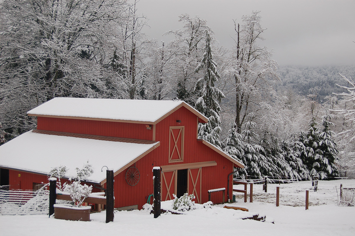 Winter Horse Pasture Administration 101